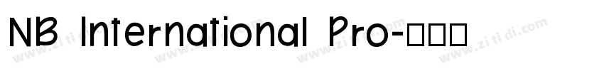 NB International Pro字体转换